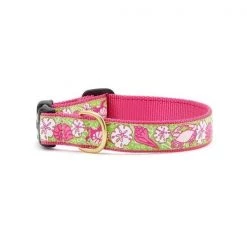 Up Country Organics Up Country SEACQ3W Sealife Pet Collar - Medium Wide