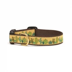 Up Country Organics Up Country SUCCQ2W Succulents Pet Collar - Small Wide