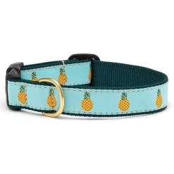 Up Country Organics Up Country PIACQ5W Pineapple Pet Collar - Extra Large