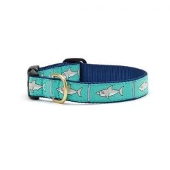 Up Country Organics Up Country SHKCQ2W Shark Pet Collar - Small Wide