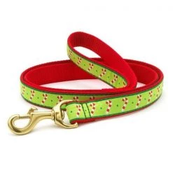 Up Country Organics Up Country CANLFLW 6 ft. Wide Candy Cane Lead for Pet