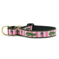 Up Country Organics Up Country ALLMG2N Alligator Martingale Pet Collar - Small