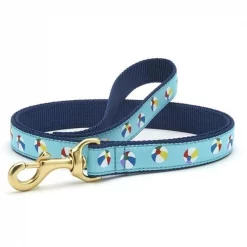 Up Country Organics Up Country BBASBLL 6 ft. Small Breed Beach Balls Lead for Pet