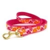 Up Country Organics Up Country FLOLFLN 6 ft. Narrow Flower Power Lead for Pet