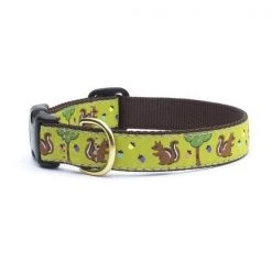Up Country Organics Up Country NUTCQ1N Nuts Pet Collar - Extra Small Narrow