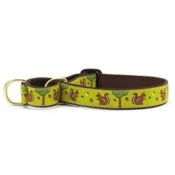 Up Country Organics Up Country NUTMG3W Nuts Martingale Pet Collar - Medium