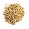 Americas Favorite 216011 50 lbs Wheat for Wild Bird Feed