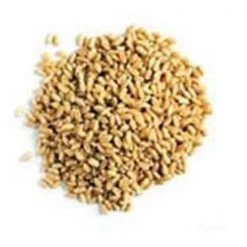 Americas Favorite 216011 50 lbs Wheat for Wild Bird Feed