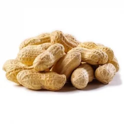 Natures Select Ingredients 001528 25 lbs Peanuts Raw in Shell for Wild Bird Feed