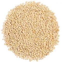Natures Select Ingredients 001692 50 lbs White Millet for Wild Bird Feed
