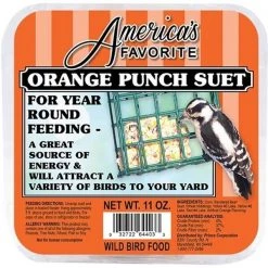 Americas Favorite 064403 11 oz Orange Punch Suet - 2268 Per Pallet - Pack of 12