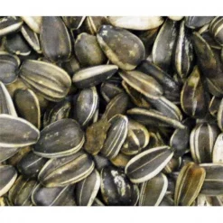 Natures Select Ingredients 001663 50 lbs Stripe Sunflower for Wild Bird Feed