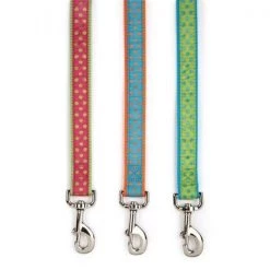 Casual Canine ZA82121 66 69 6 ft. x 1 in. Polka Dot Lead; Orange