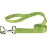 Partyanimal 4 ft. x 0.62 in. Nylon Dog Leash Lead; Light Green