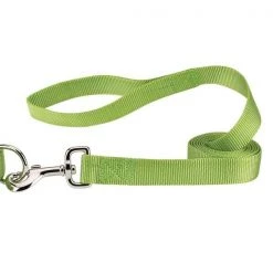 Partyanimal 4 ft. x 0.62 in. Nylon Dog Leash Lead; Light Green