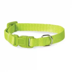 Casual Canine ZM2391 10 70 10-16 in. Nylon Dog Collar; Light Green