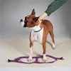 Casual Canine ZA807 09 90 9-15 in. Nylon 2 Step Dog Harness; Purple