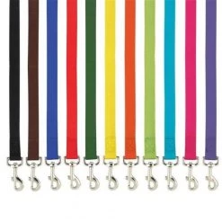 Casual Canine ZM2392 44 30 4 ft. x 0.62 in. Basic Nylon Dog Leash Lead; Black