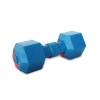 Pet Life DT16RDB Dumbbell Durable Water Floating Chew & Fetch Dog Toy; Red & Blue - One Size