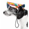 Pet Life HT1RBMD Colorfur Floral UV Protectant Adjustable Fashion Dog Hat - Rainbow; Medium