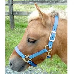 Intrepid International H325NLB Mini Nylon Miniature Horse Halter; Light Blue