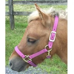 Intrepid International H325NPK Mini Nylon Miniature Horse Halter; Pink