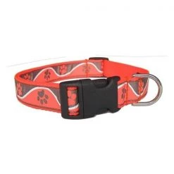 Sassy Dog Wear PAW WAVE ORANGE1-C Paw Waves Orange Dog Collar - Adjusts 6-12 in. - Extra Small