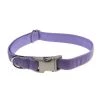 Sassy Dog Wear VELVET LAVENDER4-C Velvet Lavender Dog Collar - Adjusts 18-28 in. - Large
