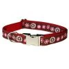 Sassy Dog Wear WILD FLOWER RED4-C Wild Flowers Red Dog Collar - Adjusts 18-28 in. - Large