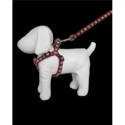 Sassy Dog Wear WILD FLOWER RED3-H Wild Flowers Red Dog Harness - Adjusts 18 - 24 in. - Medium