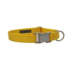 Sassy Dog Wear SOLID YELLOW-METAL BUCKLE MED-C Nylon Webbing; Aluminum Buckle Dog Collar - Adjusts 13-20 in. - Yellow - Medium