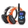 Petrainer PET998DBB-2 Dog Training Collar