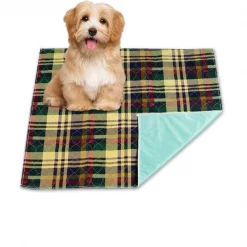 Bean Pets Bean 36 x 34 in. Reusable Waterproof Pet Mat; Large