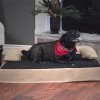 Petmaker 80-04-L Orthopedic Memory Foam Pet Bed - Jumbo