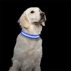 Petmaker 80-PET6127LB LED Large Dog Collar - Blue