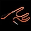 Petmaker 80-PET6128O LED Dog Leash - Orange