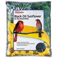 JRK Seed & Turf Supply 106363 True Value 20 lbs Sunflower Bird Seed