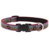 Lupine Pet Lupine 257008 1 x 16-28 in. Adjustable Dog Collar