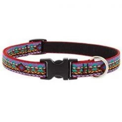 Lupine Pet Lupine 257008 1 x 16-28 in. Adjustable Dog Collar