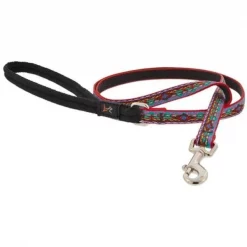 Lupine Pet Lupine 257009 1 in. x 6 ft. El Paso Dog Leash