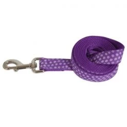 Petmate 261095 1 in. x 6 ft. Purple Star Dog Leash Pack of 2