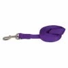 Petmate 274160 0.37 in. x 6 ft. Dog Leash; Purple