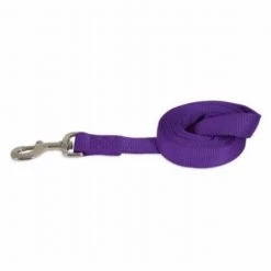 Petmate 274160 0.37 in. x 6 ft. Dog Leash; Purple