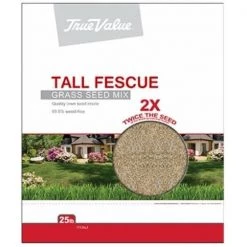 Barenbrug USA 212657 TV25LB Tall Fescue Seed; TV 25 lbs Tall Fescue Seed
