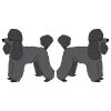 SignMission D-Toy Poodle 6 in. Super Cute Dog Decal - Toy Poodle - Pack of 2