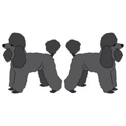 SignMission D-Toy Poodle 6 in. Super Cute Dog Decal - Toy Poodle - Pack of 2