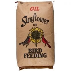 Country Boy Seed 05LBBLKOILSN 5 lbs Black Oil Sunflower Seed