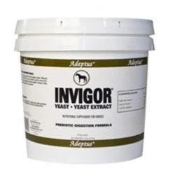 Adeptus Nutrition Adeptus Solid Wood Nutrition 20129 Invigor For Horses 3 lbs.