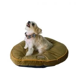 AeroMark M04CHL Armarkat Sage Green Pet Bed Pad; 26-Inch M04CHL