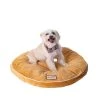 AeroMark M04CZS Armarkat Brown Pet Bed Pad; 26-Inch M04CZS